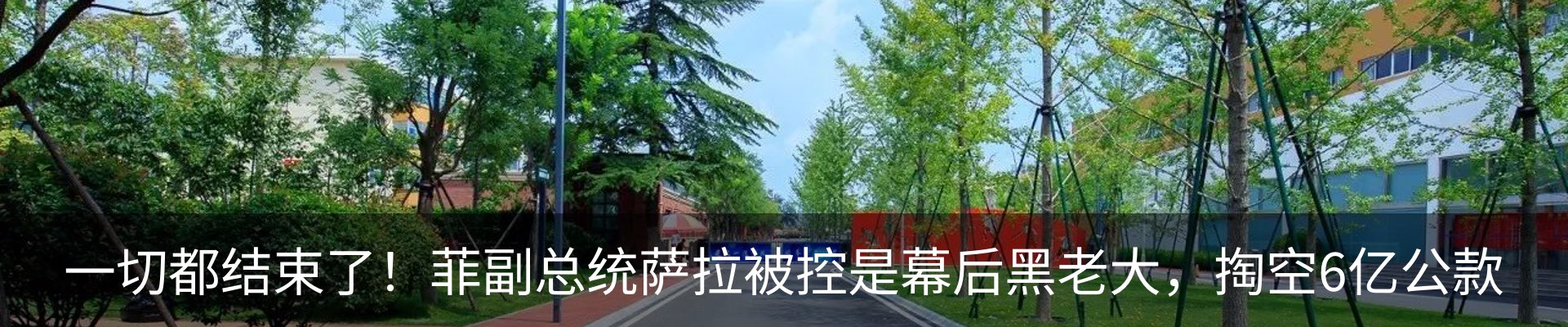 最新动态