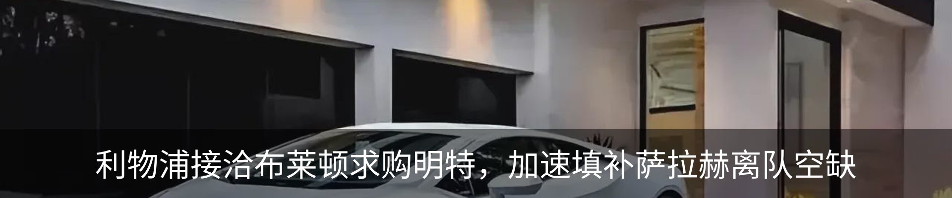 最新动态