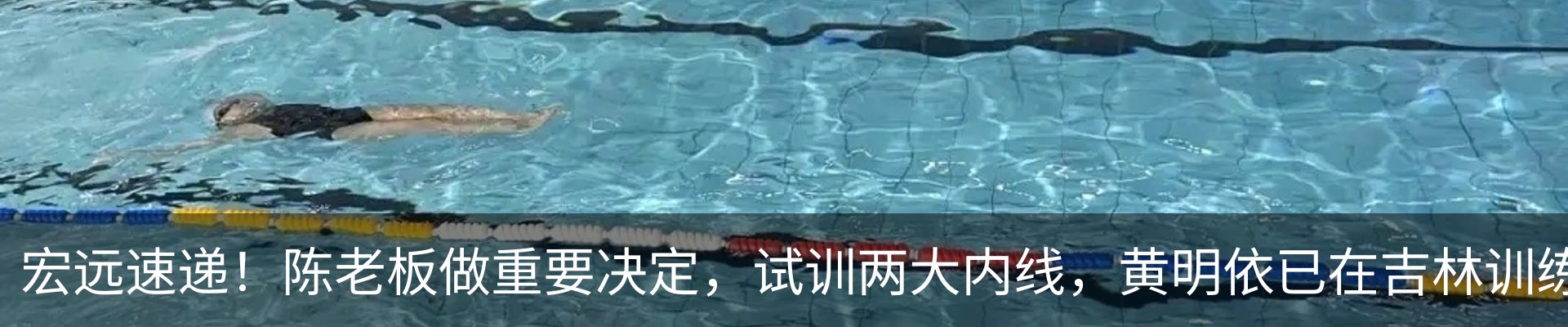 最新动态