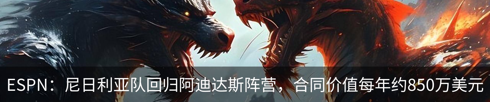 最新动态