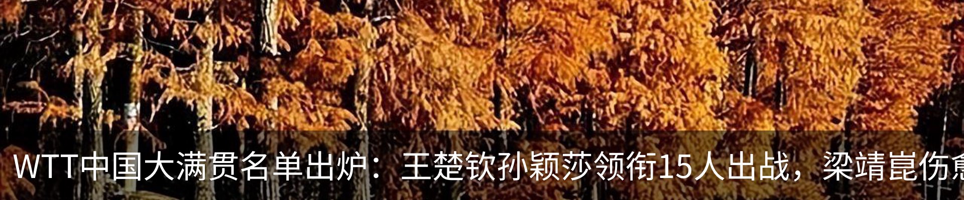 最新动态